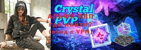 индика Вязьма