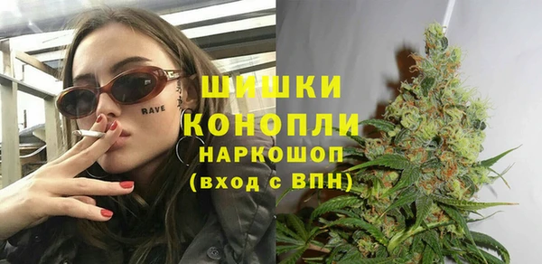 эйфоретик Вяземский