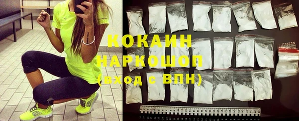 индика Вязьма