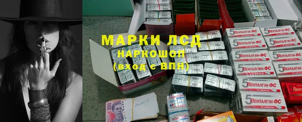 эйфоретик Вяземский