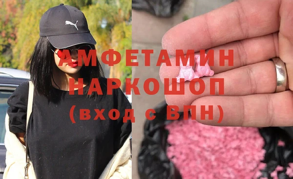 индика Вязьма