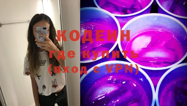 индика Вязьма